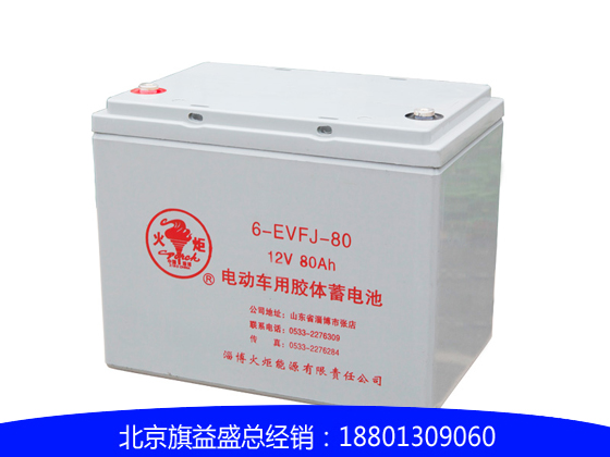 火炬6-EVFJ-80蓄電池（適用于巡邏車，觀光車，高爾夫球車等）